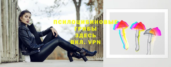 СК Осташков
