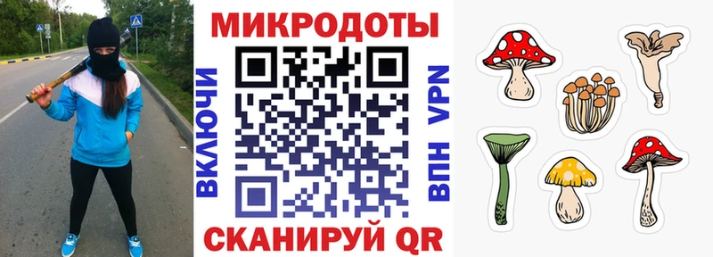 Псилоцибиновые грибы мицелий  Искитим 