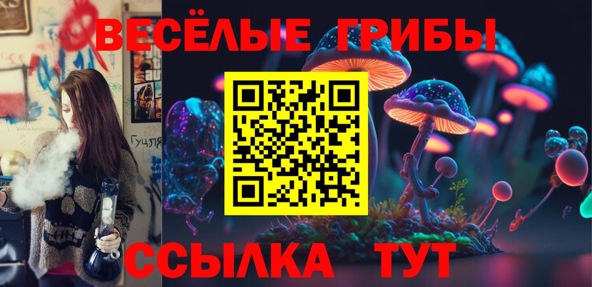 Галлюциногенные грибы прущие грибы Искитим